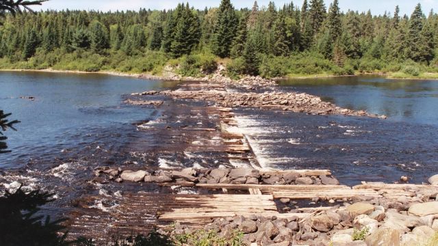 Hawks Journal Allagash Wilderness Waterway Maine   Allagash 8 2005 19 